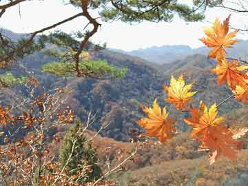 长时间排队可退票海南三亚出台六条措施应对景区游船紧张